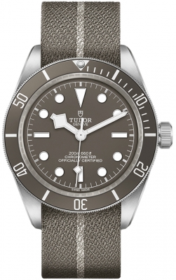 Tudor Black Bay 58 39mm M79010SG-0002 watch