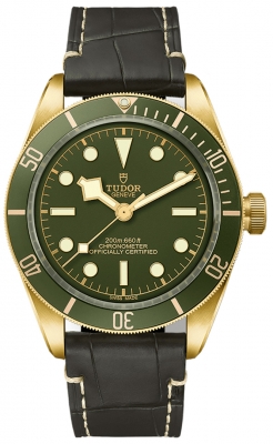 Tudor Black Bay 58 39mm M79018V-0001 watch