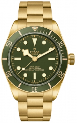 Tudor Black Bay 58 39mm M79018V-0006 watch