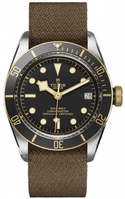 Tudor Black Bay 41mm M79733N-0005 watch