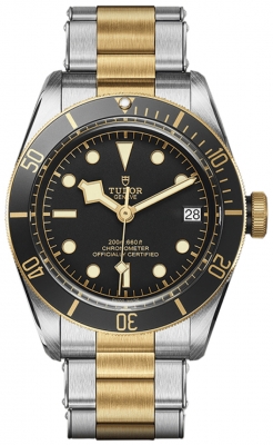 Tudor Black Bay 41mm M79733N-0008 watch