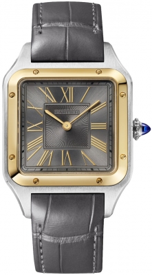 Cartier Santos Dumont Large W2SA0036 watch