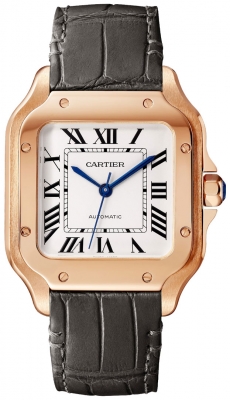 Cartier Santos De Cartier Medium WGSA0028 watch