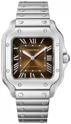 Cartier Santos De Cartier Medium WSSA0065 watch