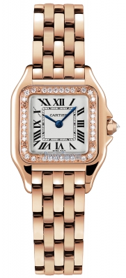 Cartier Panthere de Cartier Small wjpn0049 watch