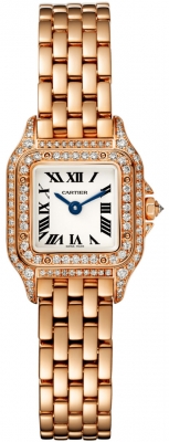 Cartier Panthere de Cartier Mini wjpn0020 watch