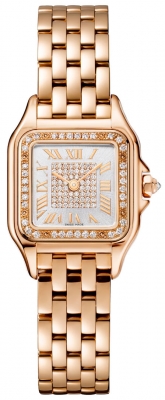 Cartier Panthere de Cartier Small wjpn0039 watch